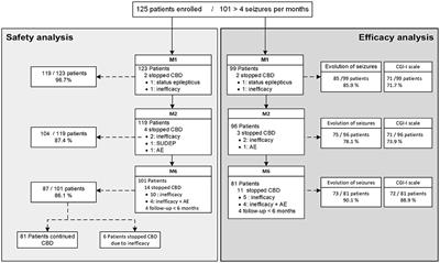 Slow Titration of Cannabidiol Add-On in Drug-Resistant Epilepsies Can Improve Safety With Maintained Efficacy in an Open-Label Study